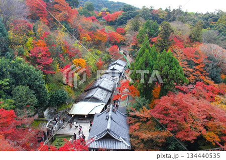 紅葉に染まる京都東山清水寺の境内 紅葉に染まる京都東山清水寺の境内 134440535