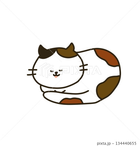 体を丸くして眠る三毛ねこ 134440655