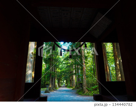 戸隠神社奥社の随神門から参道を望む 戸隠神社奥社の随神門から参道を望む 134440782