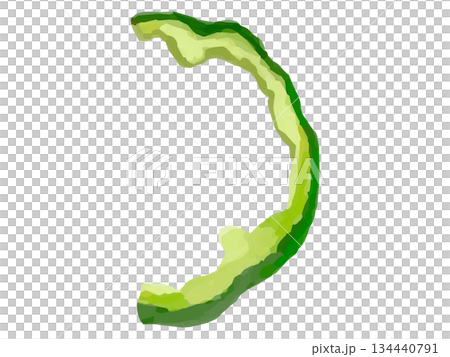 半個甜椒切片的示意圖 134440791