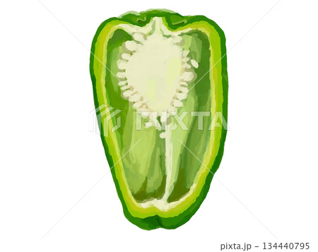 半分にカットしたピーマンのイラスト 134440795