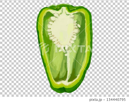 半分にカットしたピーマンのイラスト 134440795