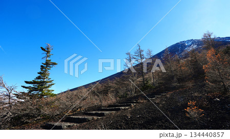 御中道五合目からの富士山頂上 134440857