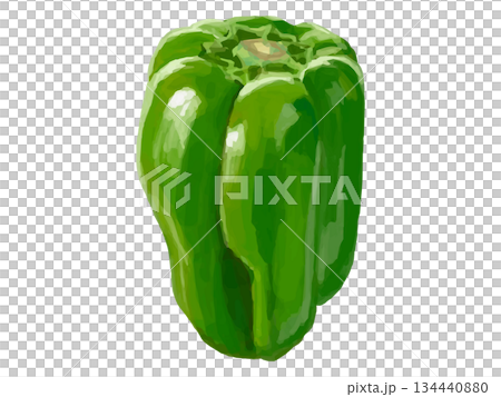 ピーマンのイラスト(縦向き) 134440880