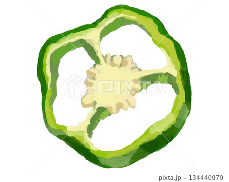輪切りのピーマンのイラスト(スライス 断面 種つき) 134440979