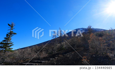 御中道五合目からの富士山頂上 134440985