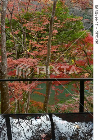 紅葉の名所　日本の自然と空間美　嵐山祐斎亭 134440998