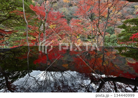 紅葉の名所 日本の自然と空間美 嵐山祐斎亭 紅葉の名所 日本の自然と空間美 嵐山祐斎亭 134440999