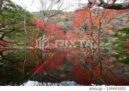 紅葉の名所 日本の自然と空間美 嵐山祐斎亭 紅葉の名所 日本の自然と空間美 嵐山祐斎亭 134441002