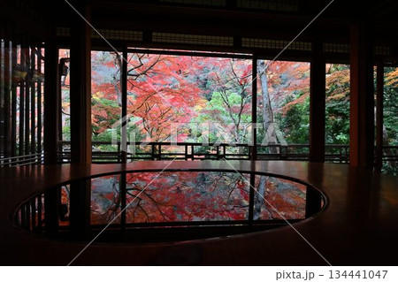 紅葉の名所　日本の自然と空間美　嵐山祐斎亭 134441047