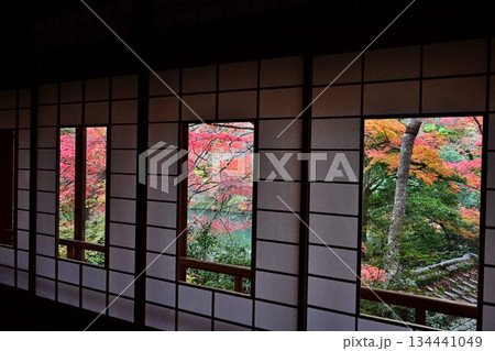 紅葉の名所 日本の自然と空間美 嵐山祐斎亭 紅葉の名所 日本の自然と空間美 嵐山祐斎亭 134441049