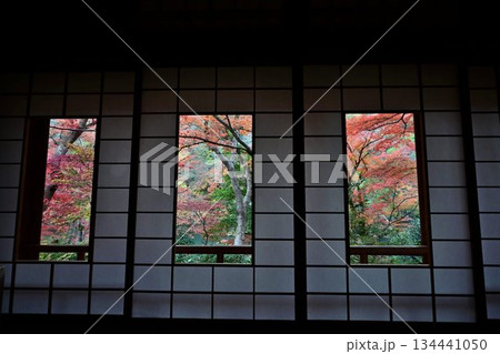 紅葉の名所 日本の自然と空間美 嵐山祐斎亭 紅葉の名所 日本の自然と空間美 嵐山祐斎亭 134441050