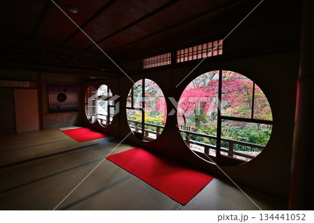 紅葉の名所　日本の自然と空間美　嵐山祐斎亭 134441052
