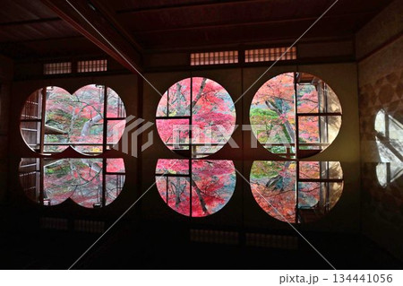 紅葉の名所　日本の自然と空間美　嵐山祐斎亭 134441056