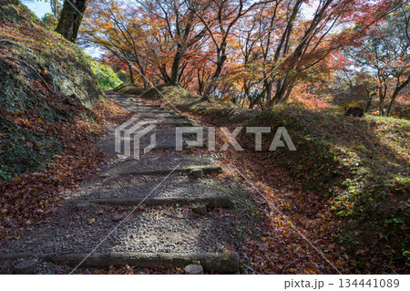 用作公園の紅葉 用作公園の紅葉 134441089