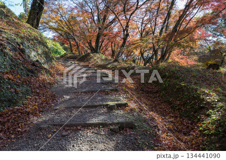 用作公園の紅葉 用作公園の紅葉 134441090
