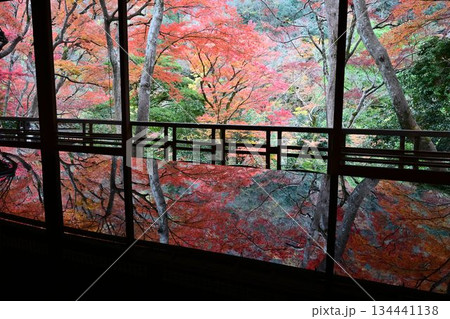 紅葉の名所 日本の自然と空間美 嵐山祐斎亭 紅葉の名所 日本の自然と空間美 嵐山祐斎亭 134441138