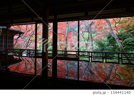 紅葉の名所　日本の自然と空間美　嵐山祐斎亭 134441140