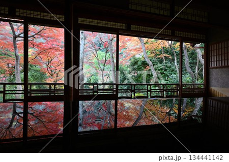 紅葉の名所 日本の自然と空間美 嵐山祐斎亭 紅葉の名所 日本の自然と空間美 嵐山祐斎亭 134441142