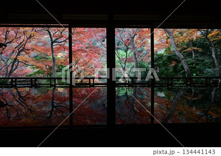 紅葉の名所　日本の自然と空間美　嵐山祐斎亭 134441143