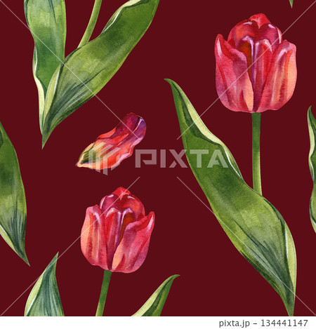 Sophisticated botanical wallpaper design featuring a seamless repeat of red tulips. Hand-painted watercolor floral pattern suitable for modern interior decor, wall art, and eco-friendly packaging Sophisticated botanical wallpaper design featuring a seamless repeat of red tulips. Hand-painted watercolor floral pattern suitable for modern interior decor, wall art, and eco-friendly packaging 134441147