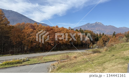 晩秋の黒姫山と妙高山の紅葉 134441161