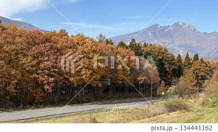 晩秋 妙高山の紅葉 晩秋 妙高山の紅葉 134441162