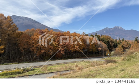 晩秋の黒姫山と妙高山の紅葉 晩秋の黒姫山と妙高山の紅葉 134441169
