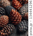 Pine cones hanging on evergreen branches in forest with moody light natural texture and seasonal background 134441296