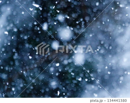 静かに深々と降る雪のイメージ風景 134441380