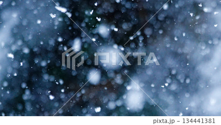 静かに深々と降る雪のイメージ風景 134441381