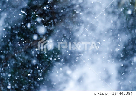 静かに深々と降る雪のイメージ風景 134441384