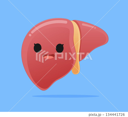a cute liver character smiling happily, representing good condition and health. Flat style illustration. a cute liver character smiling happily, representing good condition and health. Flat style illustration. 134441726