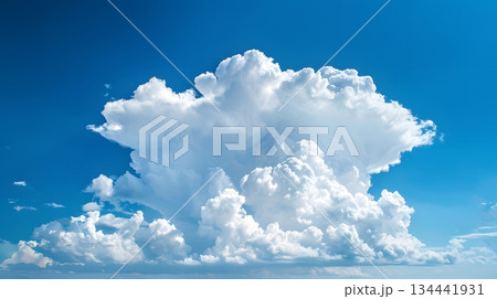 夏空にそびえる巨大な積乱雲 134441931