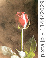 薔薇ゴールドイメージ 134442029