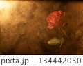 赤い薔薇ゴールドイメージ 134442030