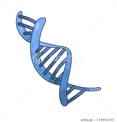 illustration of DNA 134442145