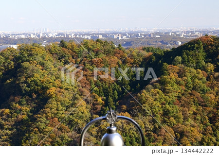 燃える秋 134442222