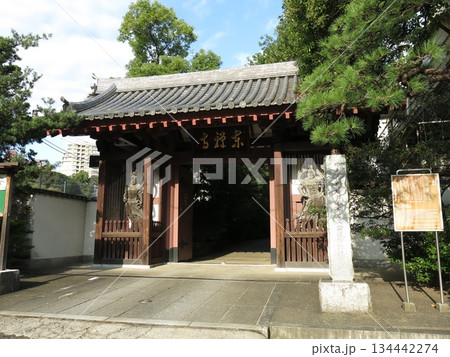 東京都港区高輪の東禅寺(山門) 東京都港区高輪の東禅寺(山門) 134442274