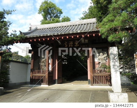 東京都港区高輪の東禅寺（山門） 134442275