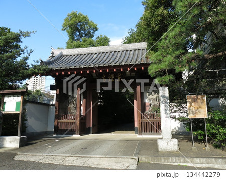 東京都港区高輪の東禅寺(山門) 東京都港区高輪の東禅寺(山門) 134442279