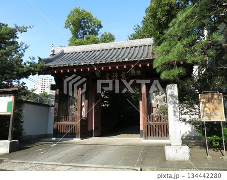 東京都港区高輪の東禅寺（山門） 134442280