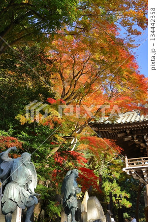 燃える秋 134442358