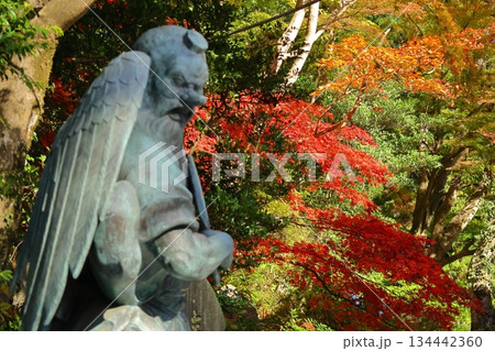 燃える秋 134442360