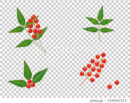 南部天空的紅色果子 134442523