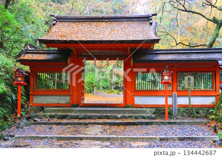 秋の貴船神社（奥宮・京都市） 134442687