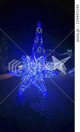 Bright neon signs and garlands Ice skating rink and winter entertainment concept 134443144