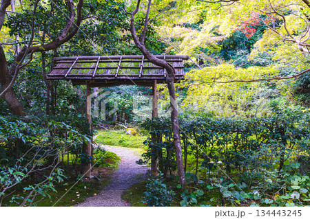 京都、厭離庵の庭園 134443245