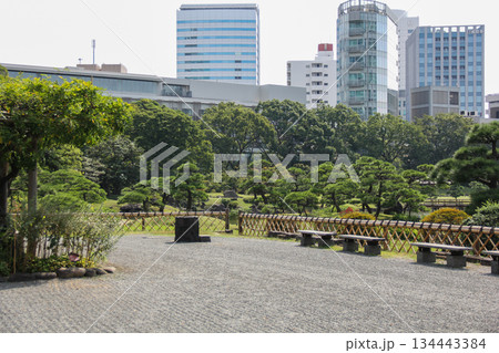 都心の高層ビルを望む旧芝離宮恩賜庭園の園路風景 134443384