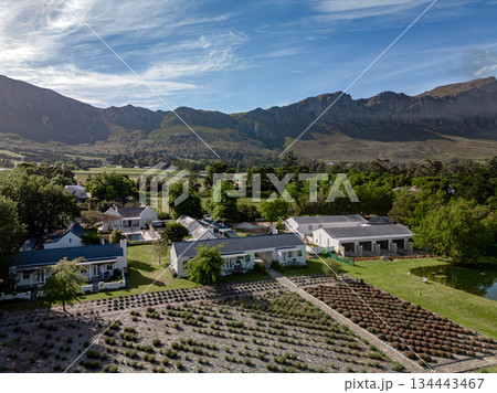 Aerial view of a village with vineyards and houses nestled against a mountain range. Rural landscape for travel and tourism concept. Aerial view of a village with vineyards and houses nestled against a mountain range. Rural landscape for travel and tourism concept. 134443467